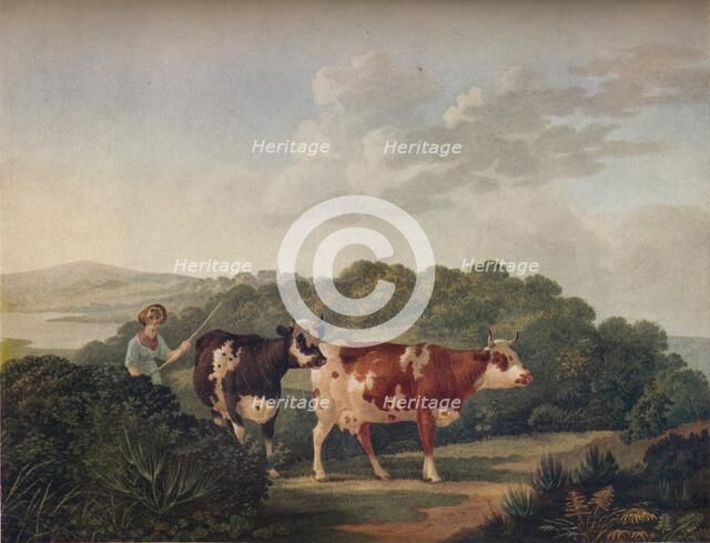 'English Landscape, with Shorthorned Cattle', late 18th-early 19th century, (1930). Creator: Charles Towne.