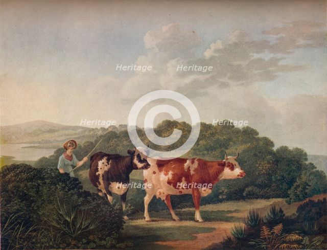 'English Landscape, with Shorthorned Cattle', late 18th-early 19th century, (1930). Creator: Charles Towne.