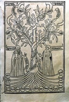 Engraving of a tree in the work Arbor Scientiae (Science Tree) copy printed in Barcelona in 150…