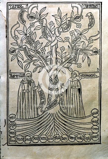 Engraving of a tree in the work 'Arbor Scientiae' (Science Tree) copy printed in Barcelona in 150…