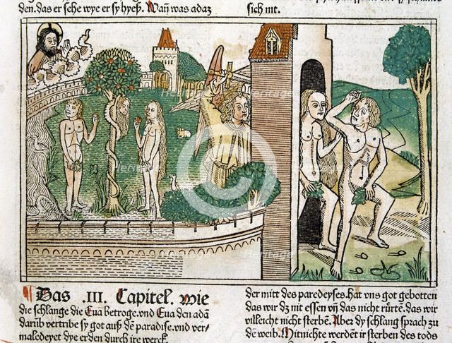 Engraving showing Adam and Eve in paradise, scene in the Bible of Nuremberg, German edition 1483.