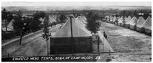Enlisted men's tents, 61st Cavalry Artillery, Camp McCoy, Wisconsin, USA, 1940