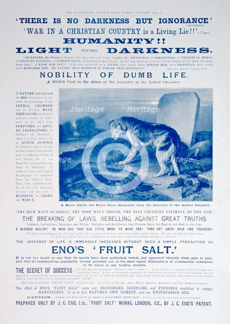 Eno's Fruit Salt advertisement, 1899. Artist: Unknown