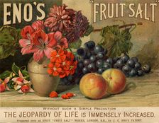 Eno’s Fruit Salt, 19th century