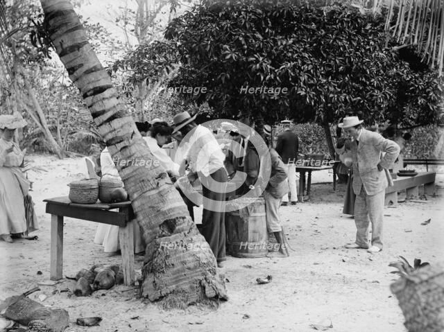 Eating cocoanuts, c1906. Creator: Unknown.