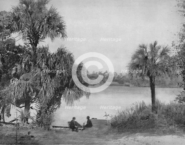 'Eau Gallee, Indian River, Florida', c1897. Creator: Unknown.