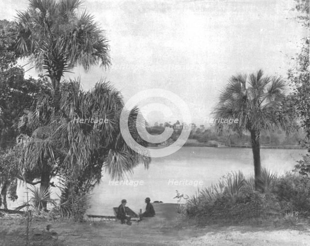 Eau Gallie, Indian River, Florida, USA, c1900. Creator: Unknown.