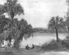Eau Gallie, Indian River, Florida, USA, c1900. Creator: Unknown