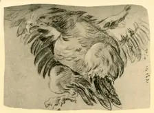 Eagle 1751-1752, (1928). Artist: Giovanni Battista Tiepolo