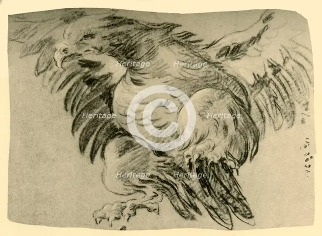 'Eagle', 1751-1752, (1928). Artist: Giovanni Battista Tiepolo.