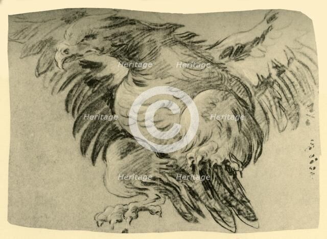 'Eagle', 1751-1752, (1928). Artist: Giovanni Battista Tiepolo.