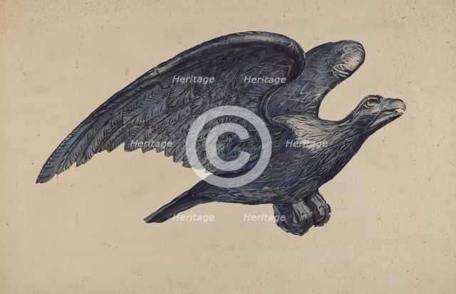 Eagle, 1935/1942. Creator: Elisabeth Fulda.