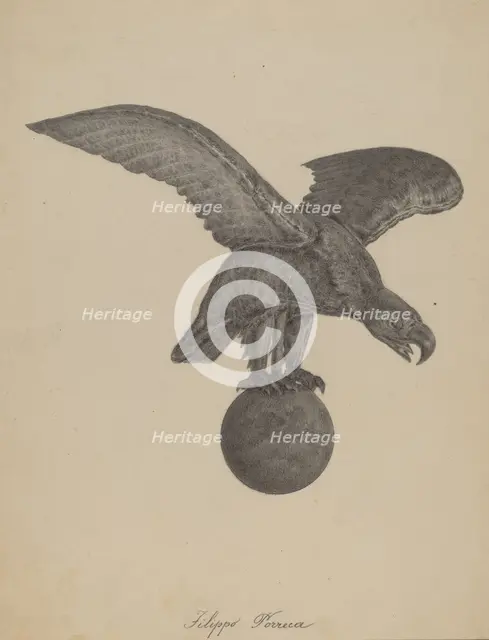 Eagle, 1935/1942. Creator: Filippo Porreca.
