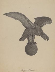 Eagle, 1935/1942. Creator: Filippo Porreca