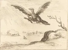 Eagle and Young. Creator: Jacques Callot