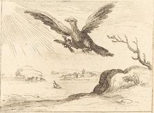 Eagle and Young. Creator: Jacques Callot