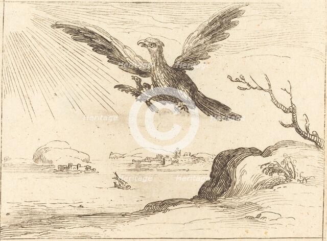 Eagle and Young. Creator: Jacques Callot.