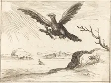 Eagle and Young. Creator: Jacques Callot