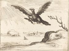 Eagle and Young. Creator: Jacques Callot
