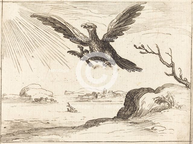 Eagle and Young. Creator: Jacques Callot.