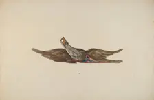 Eagle, c. 1938. Creator: Helen E. Gilman