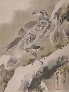 Eagle Holding Small Bird, ca. 1887. Creator: Kawanabe Kyosai