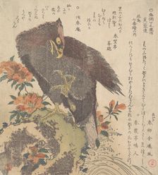 Eagle on a Rock; Flowering Azaleas, ca. 1800. Creator: Kubo Shunman