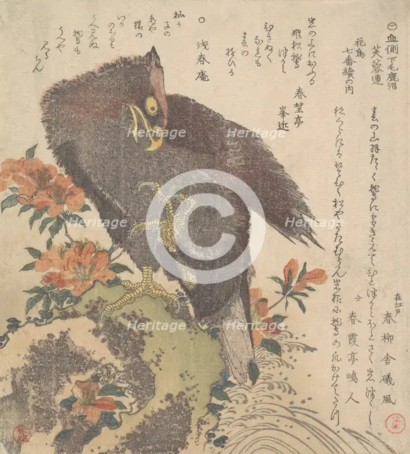 Eagle on a Rock; Flowering Azaleas, ca. 1800. Creator: Kubo Shunman.