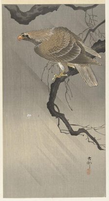 Eagle on branch, 1900-1910. Creator: Ohara, Koson (1877-1945)
