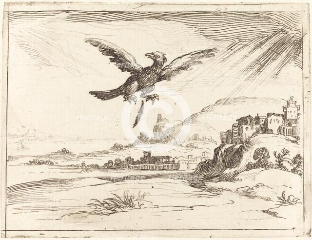 Eagle Losing an Old Feather, 1628. Creator: Jacques Callot.