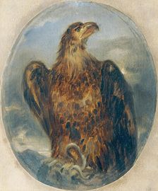 Eagle, undated. (c1850s) Creator: Joseph Hasslwander
