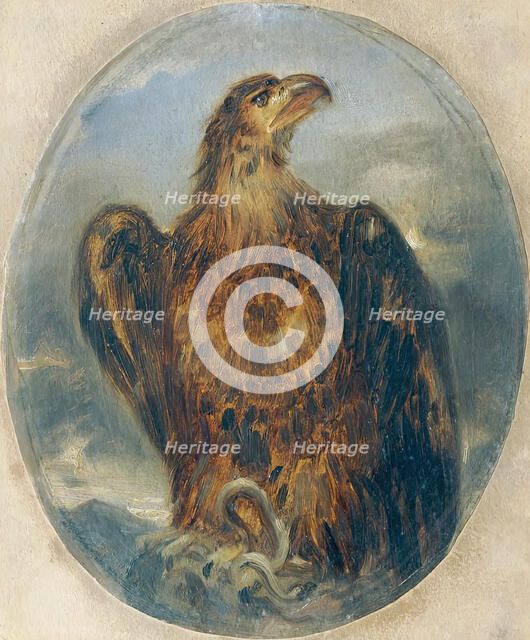 Eagle, undated. (c1850s) Creator: Joseph Hasslwander.