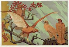 Eagles, pub. 1897. Creator: Maurice Pillard Verneuil (1869?1942)