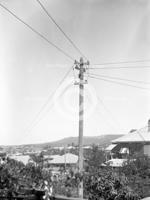 Early Brisbane power poles, c1900s. Creator: Robert Augustus Henry L'Estrange.
