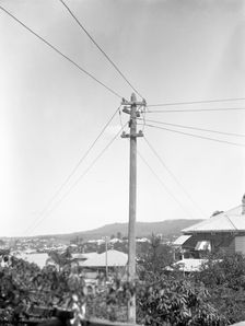 Early Brisbane power poles, c1900s. Creator: Robert Augustus Henry L'Estrange