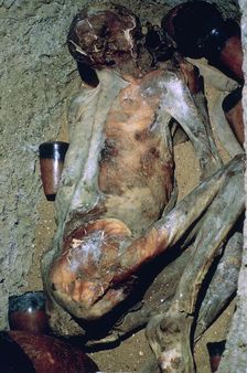 Early Egyptian burial known as Ginger