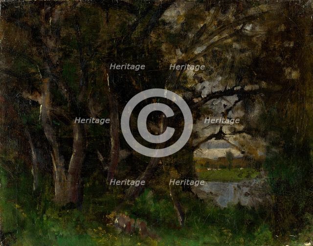 Early Evening Motif in a Park in Strázky, 1895-1900. Creator: Ladislav Mednyanszky.