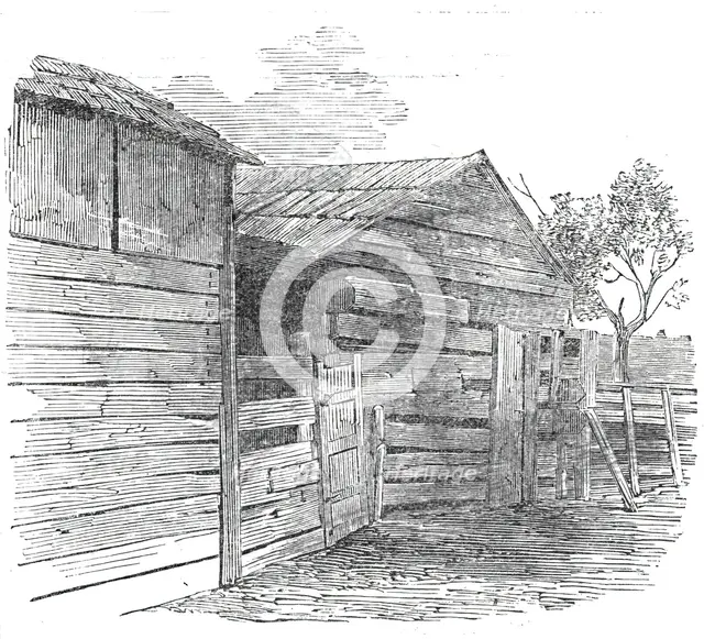 Early home of the President of the United States, Elizabeth Town, Kentucky..., 1860. Creator: Unknown.