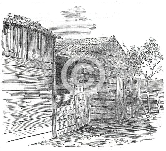 Early home of the President of the United States, Elizabeth Town, Kentucky..., 1860. Creator: Unknown.