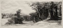 Early Morning, Richmond Park. Creator: Francis Seymour Haden (British, 1818-1910)