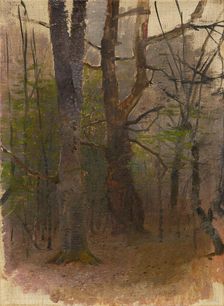 Early Spring. Forest, 1876 - 1877. Creator: Ladislav Mednyanszky