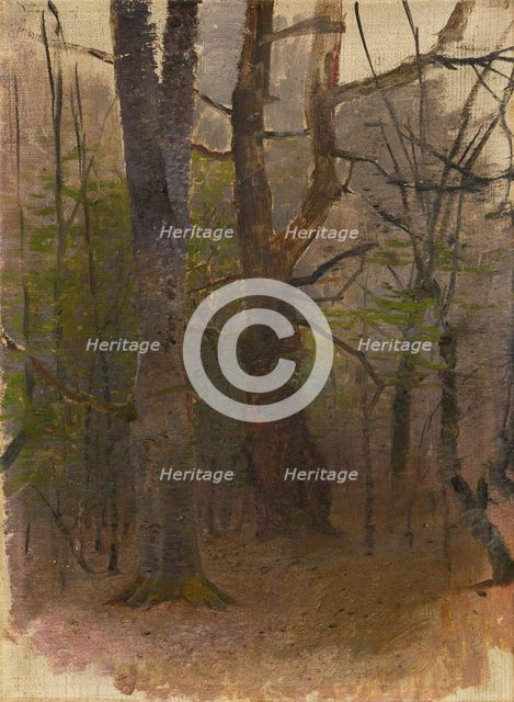 Early Spring. Forest, 1876 - 1877. Creator: Ladislav Mednyanszky.