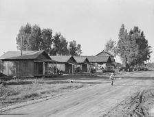 Early stage in the history of the farm experiment, Mineral King Ranch, Tulare County, CA, 1938. Creator: Dorothea Lange