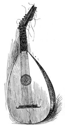 Early paduan lute, 1901