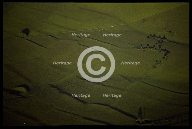 Earthwork remains of an Iron Age or Romano-British field system, Pertwood Down, Wiltshire, 1971. Creator: Jim Hancock.