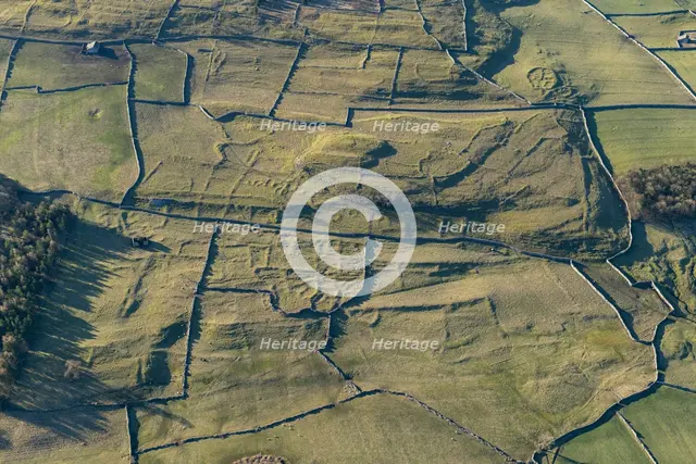 Earthwork remains, Outgang Hill, North Yorkshire, 2024. Creator: Robyn Andrews.