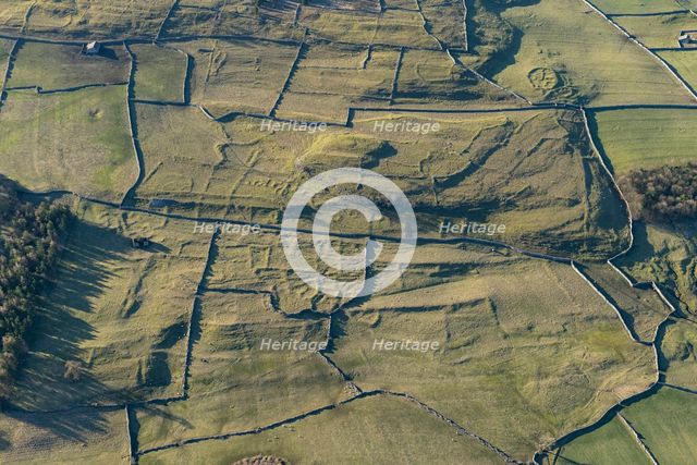 Earthwork remains, Outgang Hill, North Yorkshire, 2024. Creator: Robyn Andrews.