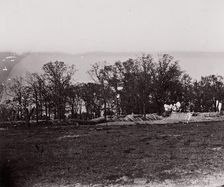 [Earthworks at the edge of a forest]. Brady album, p. 132, 1861-65. Creator: Unknown