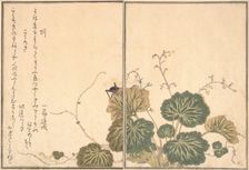 Earthworm (Mimizu); Cricket (Korogi)..., 1788. Creator: Kitagawa Utamaro