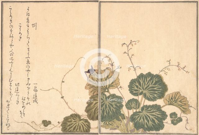 Earthworm (Mimizu); Cricket (Korogi)..., 1788. Creator: Kitagawa Utamaro.